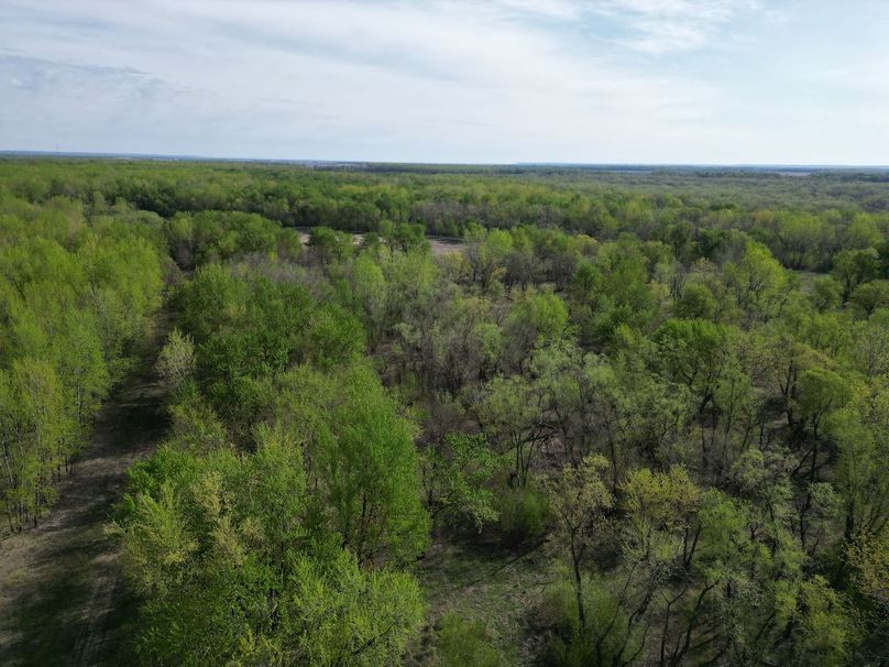 DJI_0275