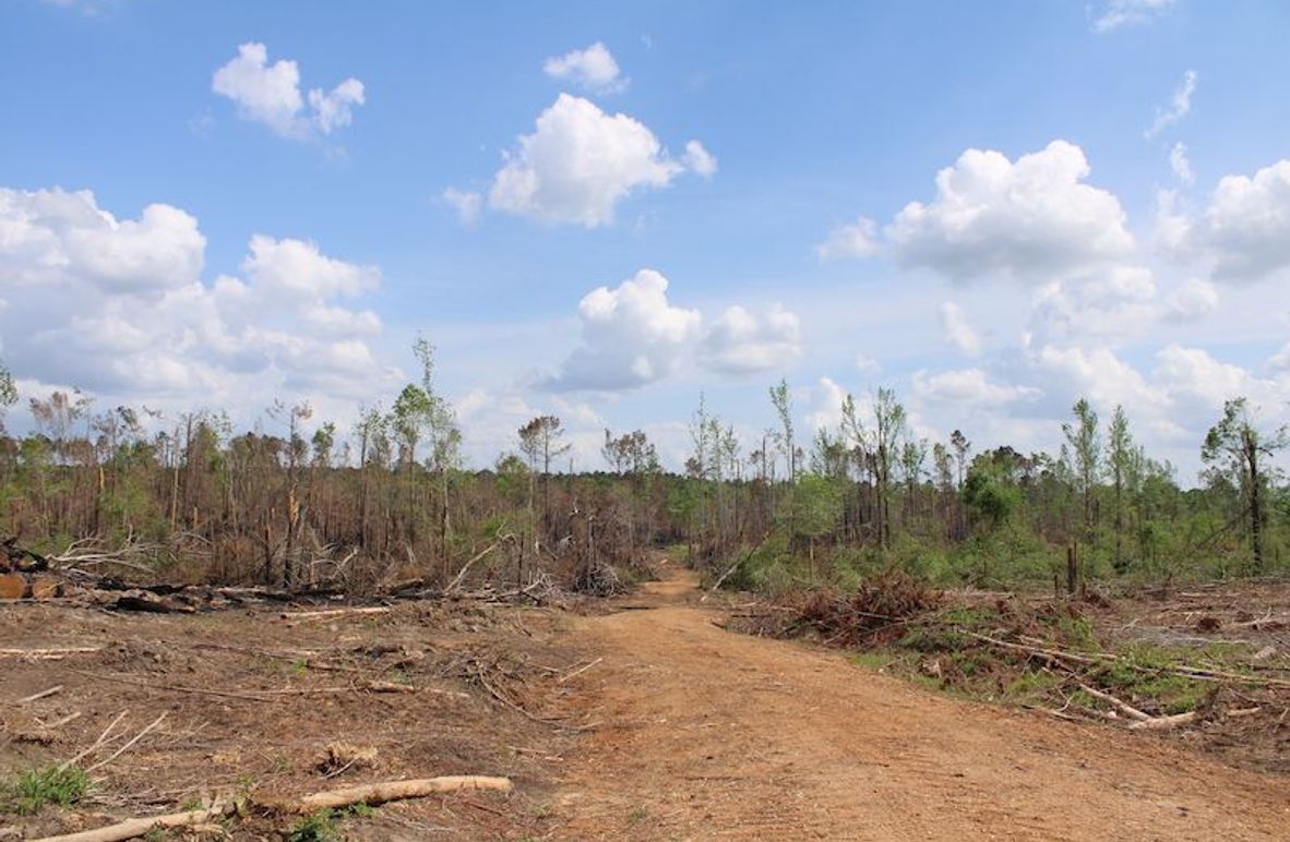 2E7129FF-67F5-47FE-88C4-2BE3608D1C7A