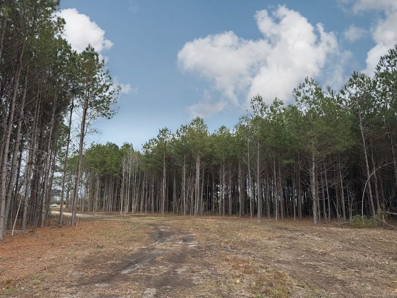 93B8B032-1CD0-4233-9C2E-C3DBBB343484