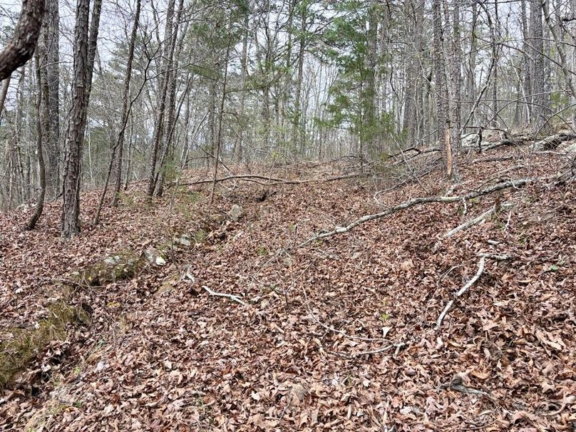 D29294B4-0202-4A28-891D-4A6762A4843C_1_201_a