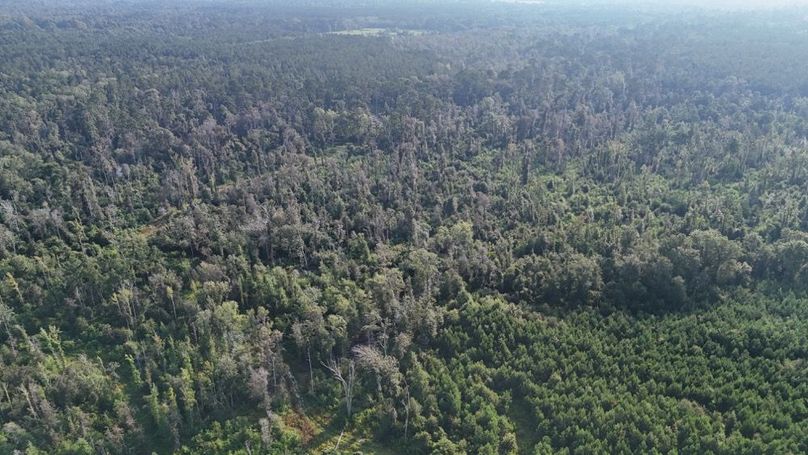 dji_fly_20250903_215820_0016_1756926958508_photo