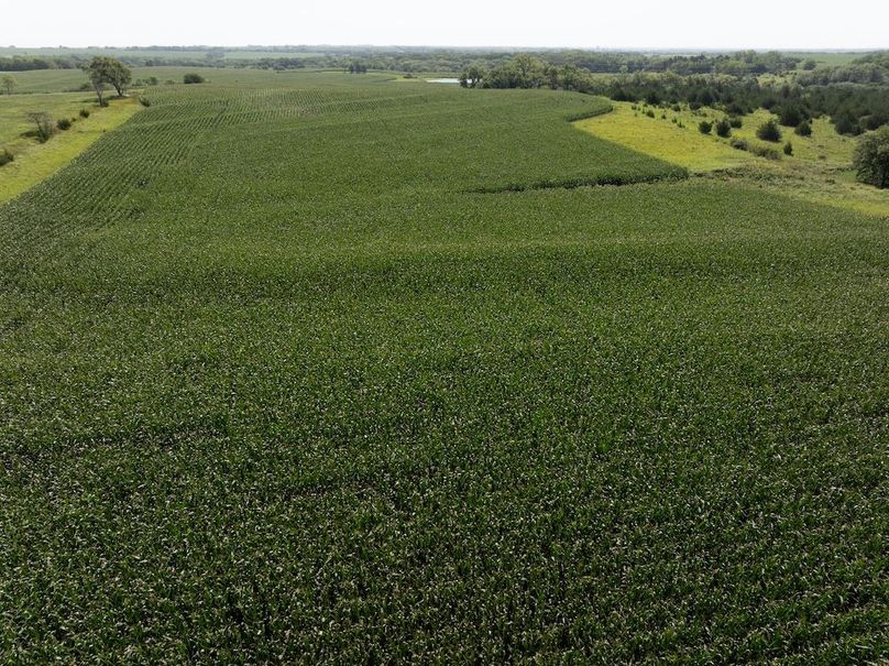 DJI_20250729103054_0075_D