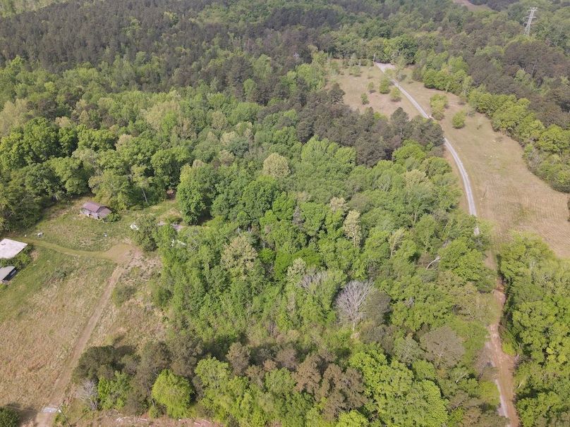 DJI_0459