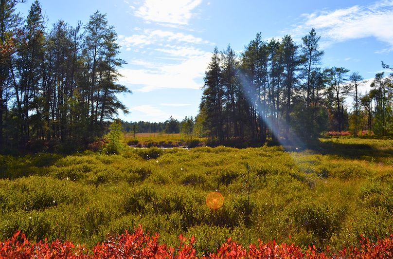 Screenshot 2025-11-14 at 11.05.30 AM