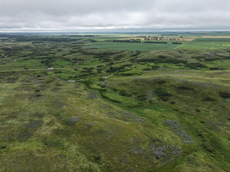 Copy of DJI_20250704141003_0622_D