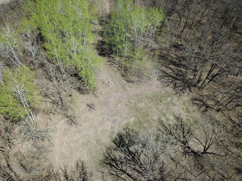 DJI_0084