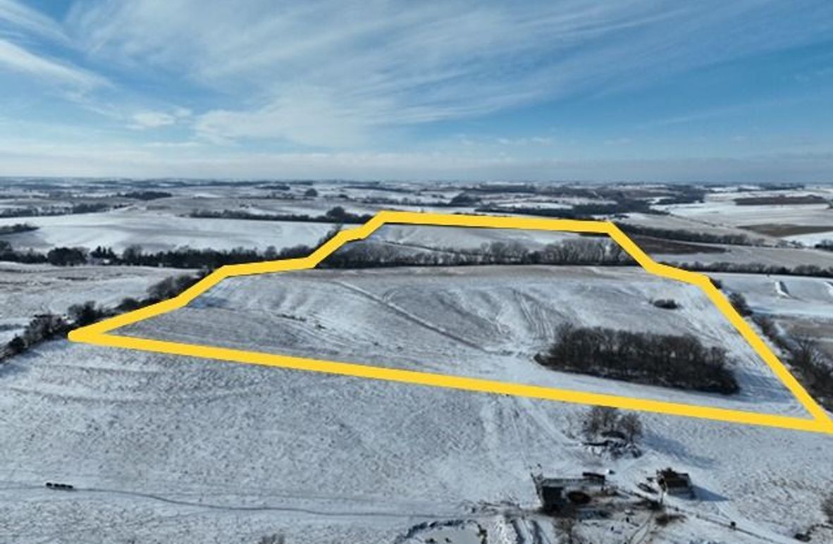 dji_fly_20251203_132106_388_1764792369362_photo (1)