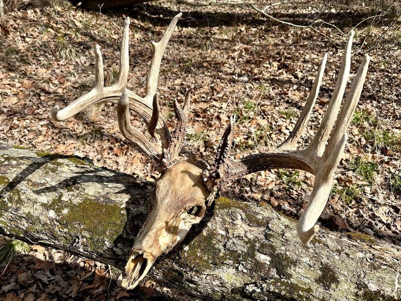 1761F97C-EC60-48EF-8F3B-34CDBFA5FBE2_1_102_a