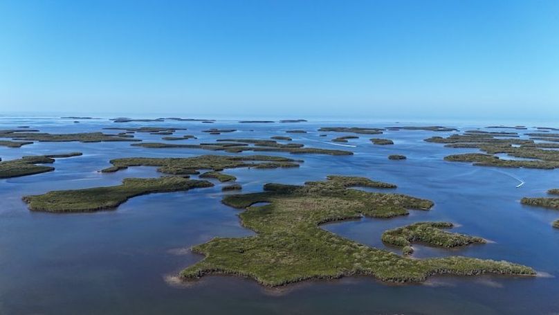 17.17ac, Citrus, Josiah Ronco30