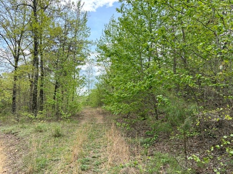 32D3EFDC-7815-4E30-A929-39DEEDD37819_1_105_c-2