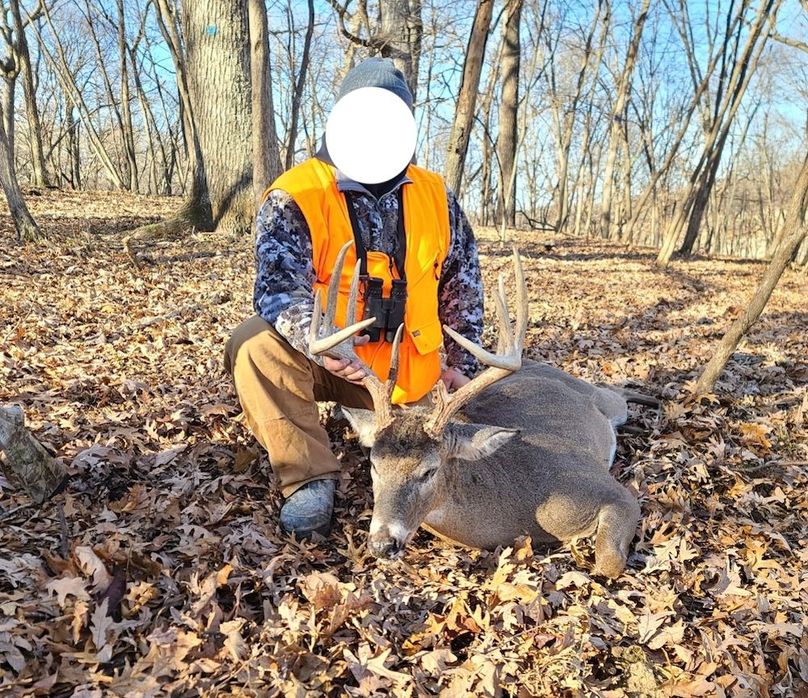 Screenshot_20240823_164834_Gallery