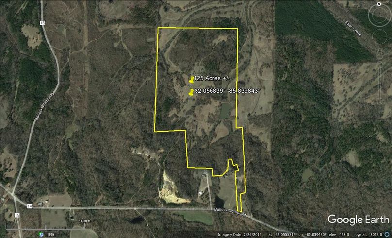 Aerial #1 Approx. 125 Acres Bullock County, AL