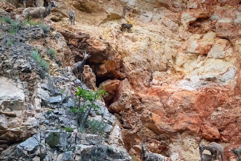 Copy of Lawrence SD 50 Featured_ProPhoto-16