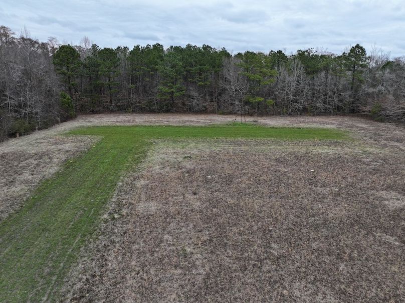 dji_fly_20260218_144538_0542_1772499977259_photo