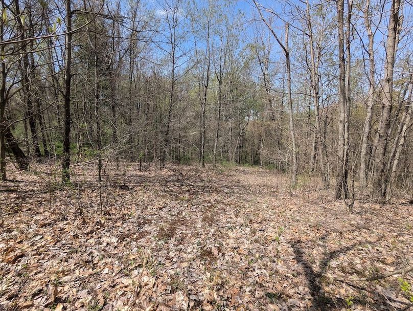 PXL_20250422_165554944