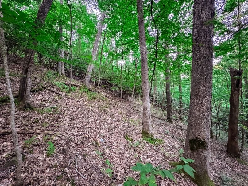 Webster, WV 42 AC Barger-08