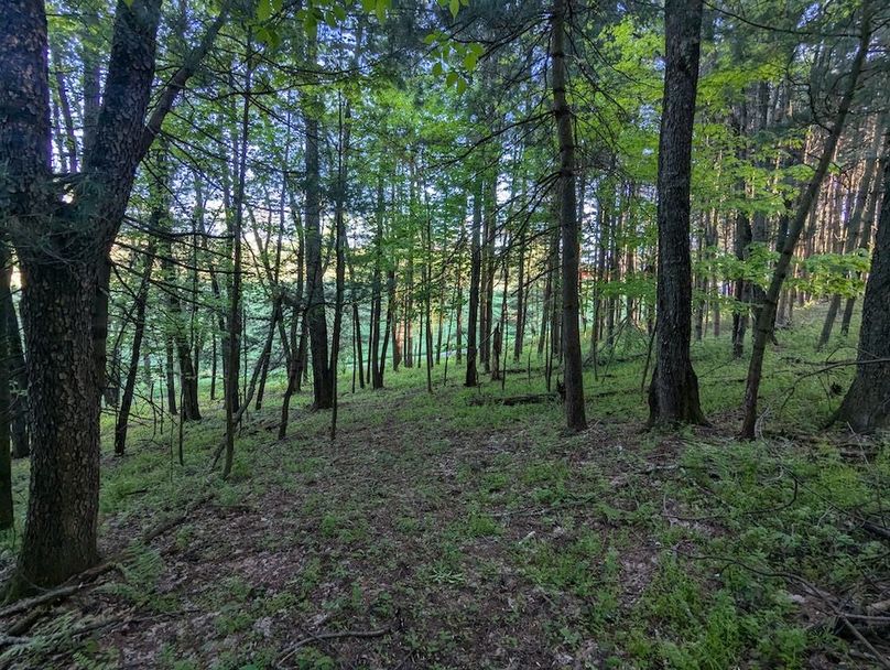 PXL_20250509_225759870