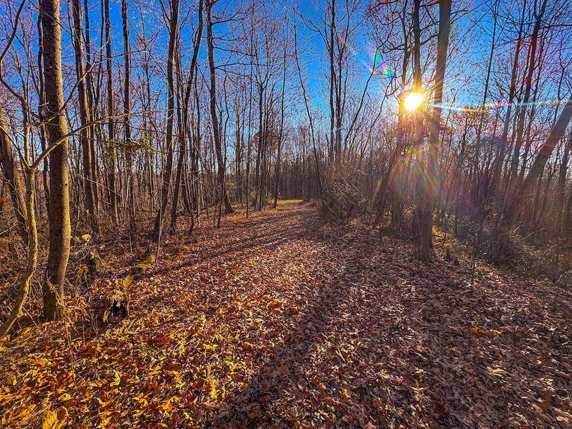 Pleasants_Wood 169.97 AC Cokeley-70