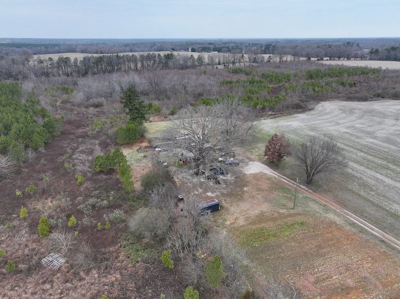 Copy of dji_fly_20251224_114116_0232_1767705660382_photo