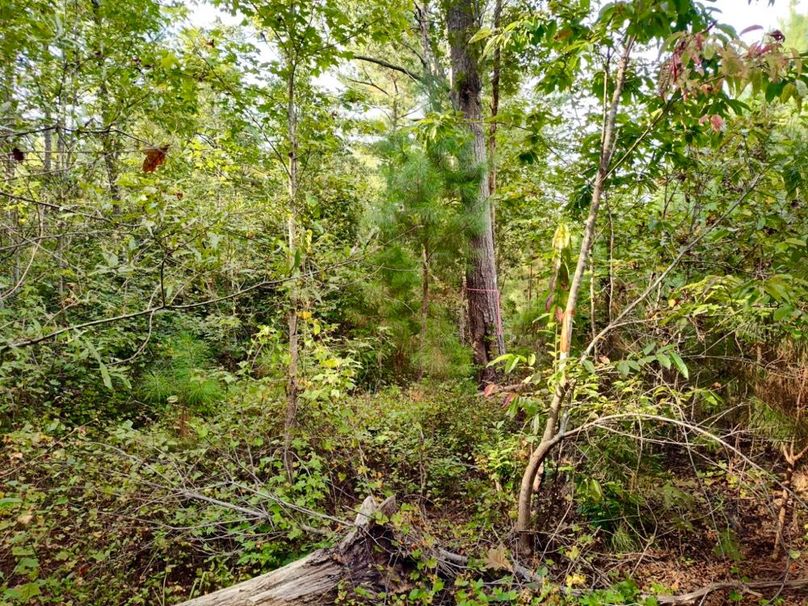 IMG_20250914_165209246_HDR