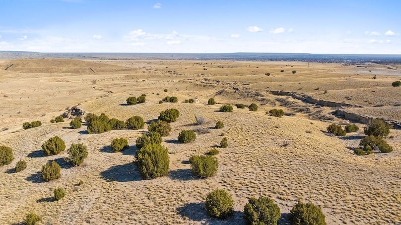 DJI_20260303104311_0032_D_1