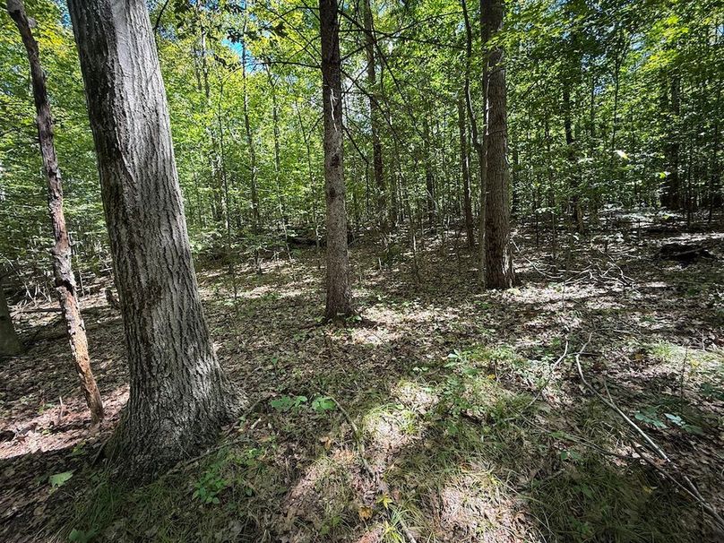 Tioga NY 64 Shores 13