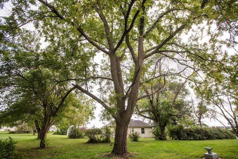 FREMONT CO IA .98+_-_43