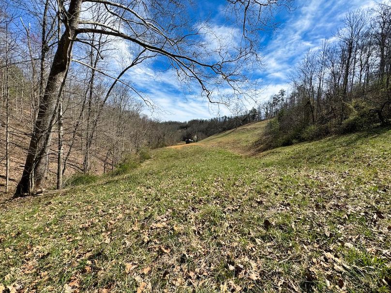 018 view looking from the central part of the valley back towards the barn and road