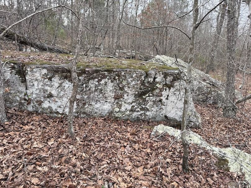 DJI_20260324_104035_901