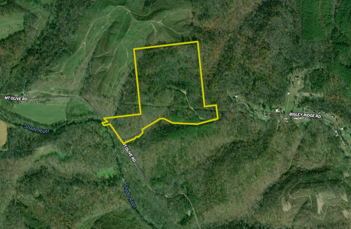 Screenshot 2023-10-31 at 1.11.55 PM