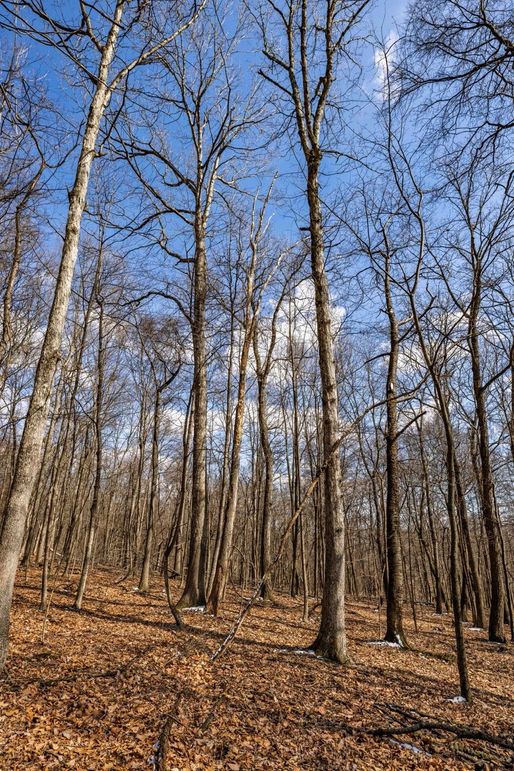 26-web-or-mls-IMG-26