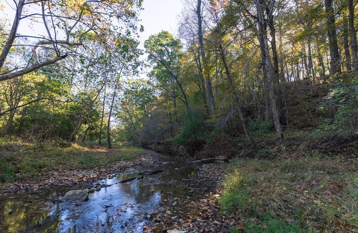 Copy of 7_Pike_IL_354