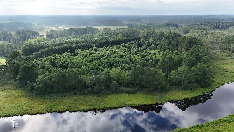 IMG23_60AC_dji_fly_20250811_084052_0018_1754945049493_photo