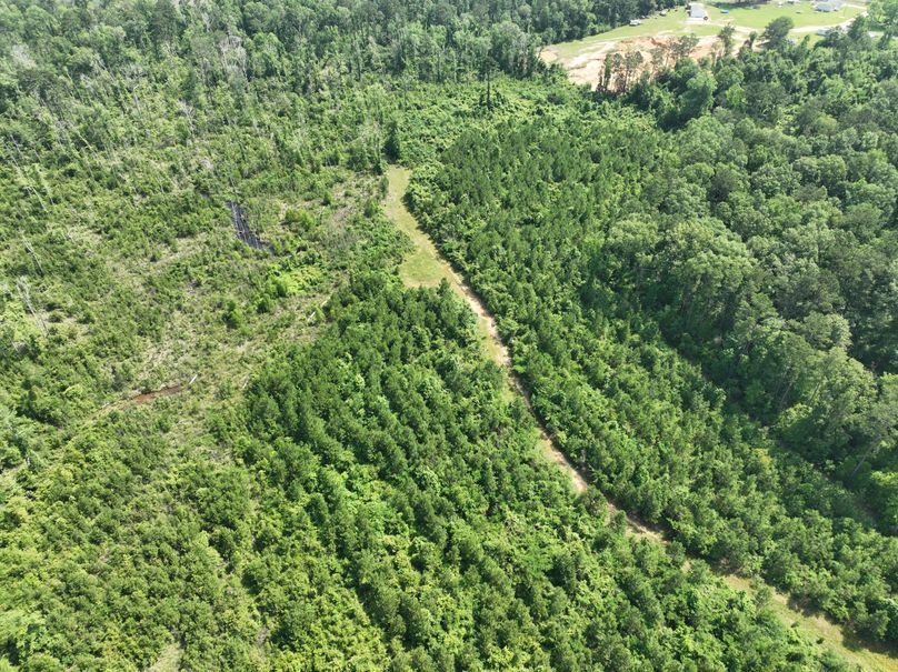 dji_fly_20230516_110058_117_1684333513781_photo