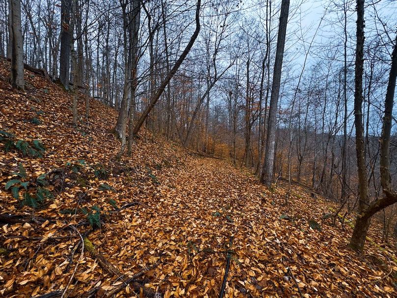 Ritchie, WV 100 AC Harper-52