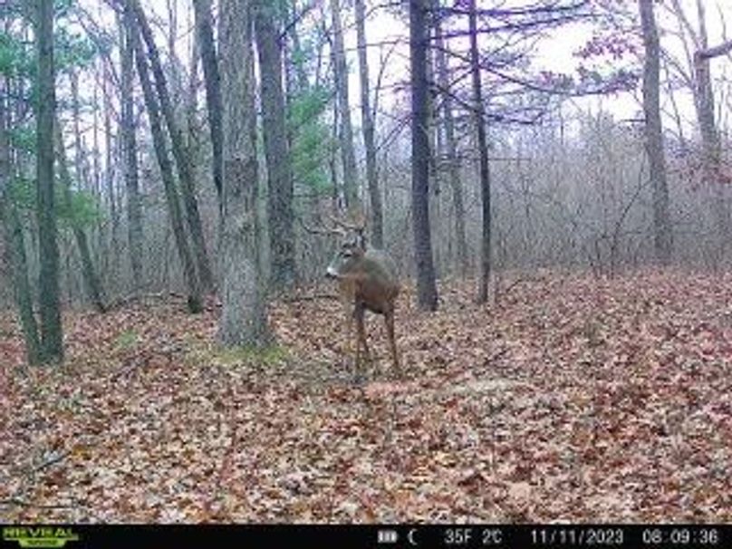 230c9b2e-e4d2-4c0f-9c19-8d4180928e1a