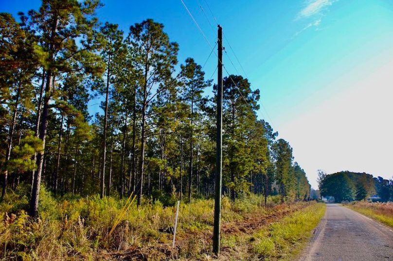 541A14EB-787A-4327-A569-C73C1F0A40D8_1_201_a