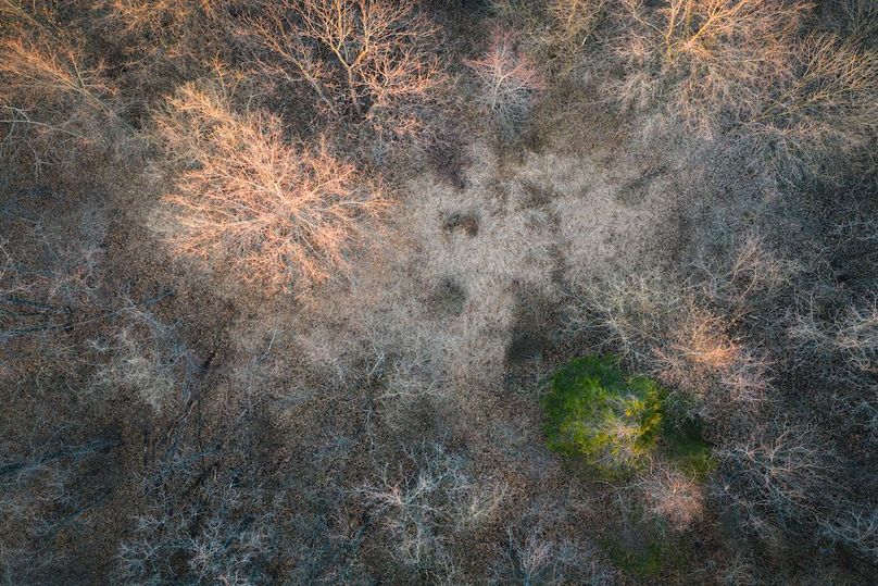 DJI_20260309184143_0339_D