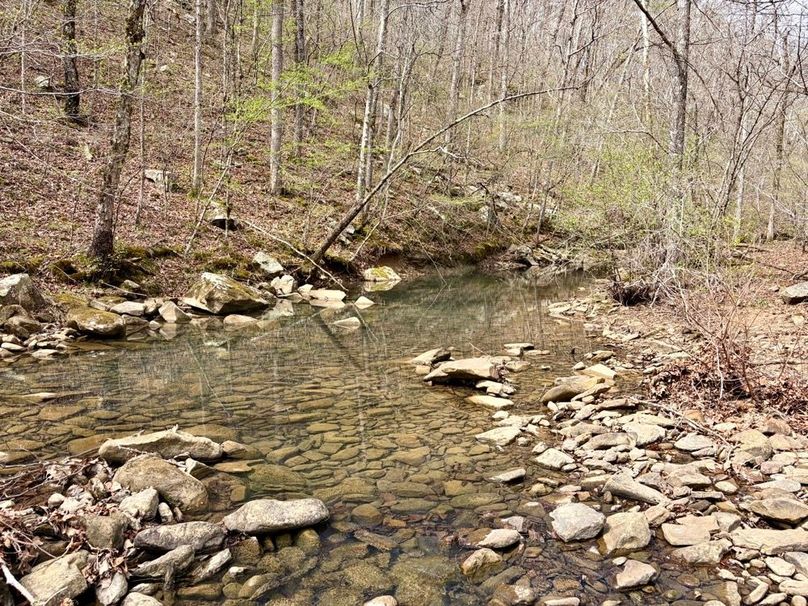 BF8C8EF5-A449-477A-9E60-FE124D12A70F_1_201_a