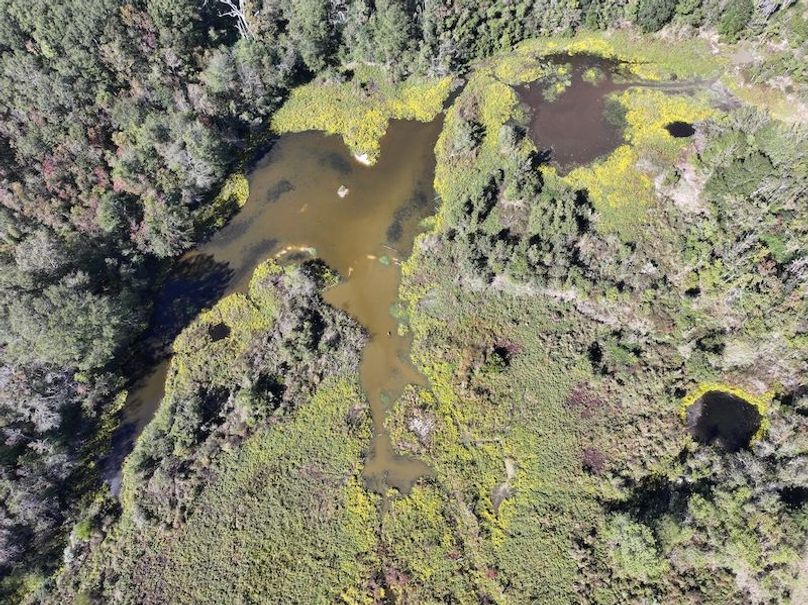 dji_fly_20251103_134232_0695_1762362215367_photo