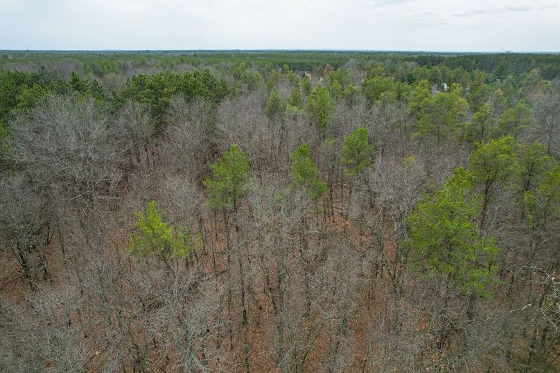 Juneau 1.53 Northgate-25