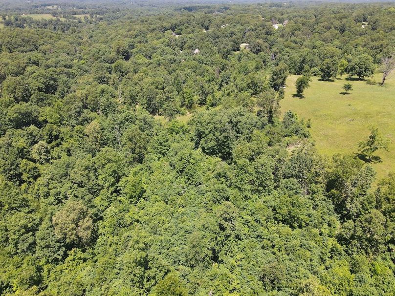 DJI_0827