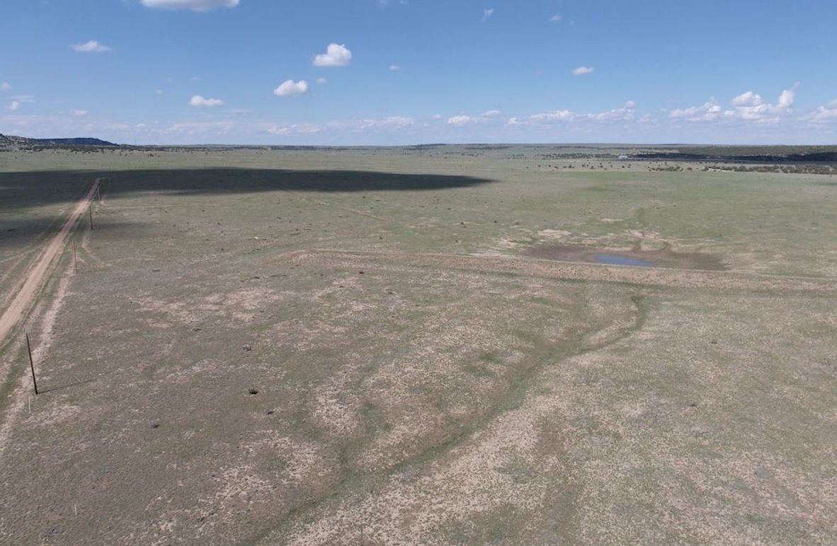 DJI_20250508153656_0023_D