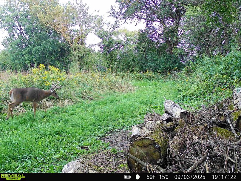 15ad2efe-27bd-4b74-9e11-8c5a5d6f82b6