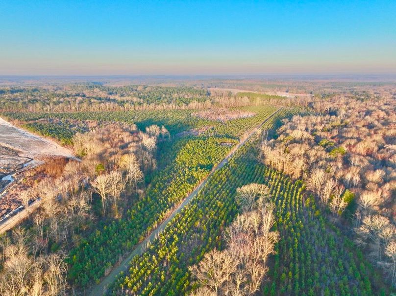 dji_fly_20250222_073512_422_1740228282184_photo