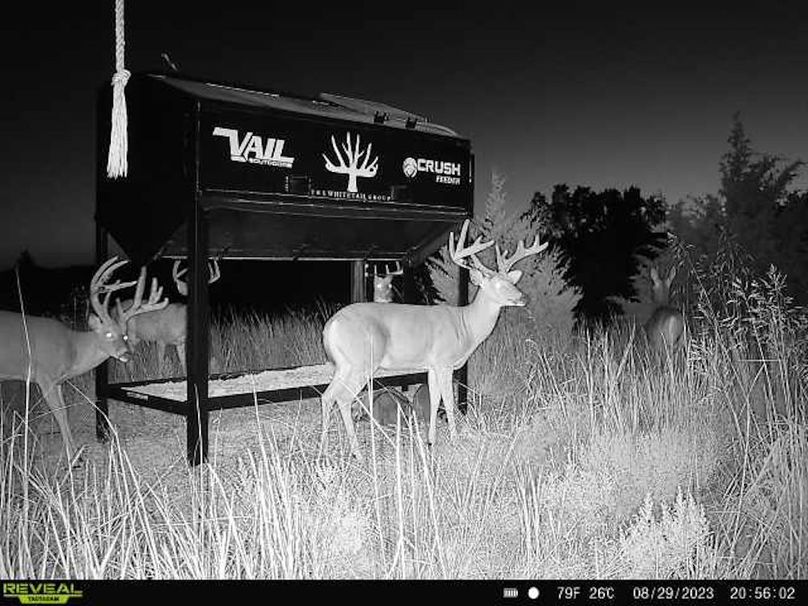 9.Copy of Copy of 864049059027906-100-4-08292023205602-W1023433