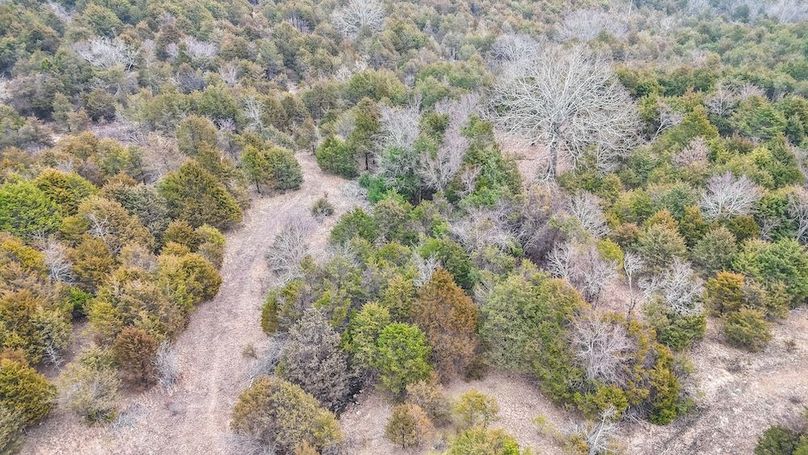 DJI_20250204235156_0078_D
