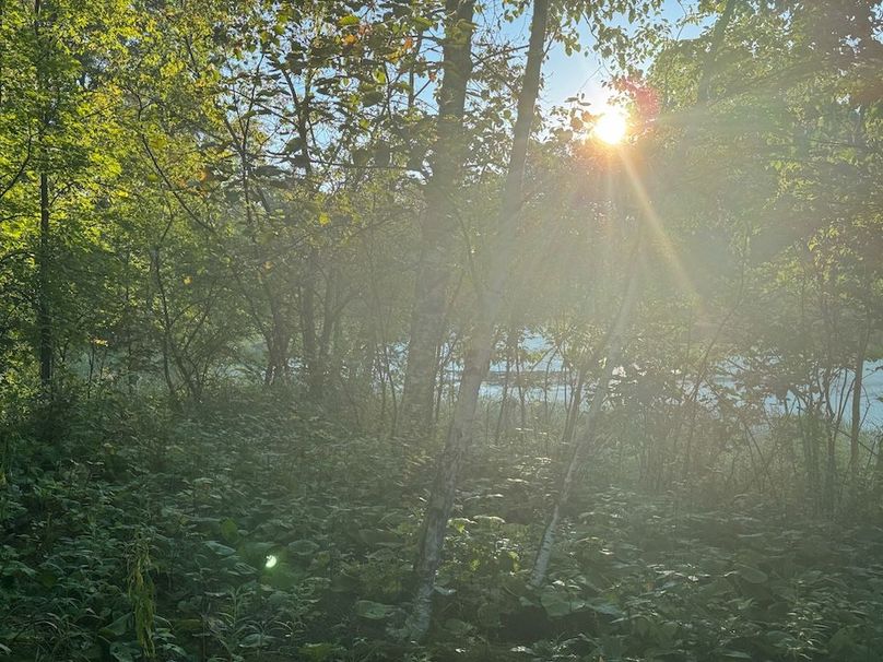 Pantzke Ground Photos-09