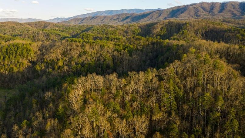 Sevier TN 77.63 Featured_Pro Photo-20