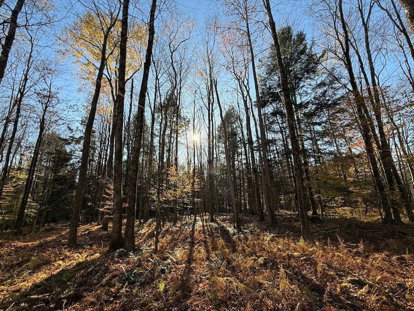 Oswego_26.28_Koehler Photo 29